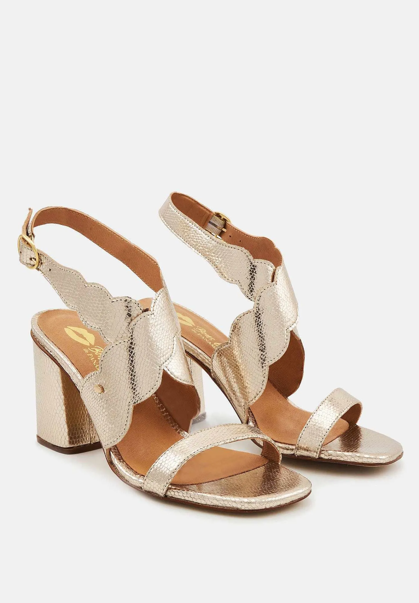 Bons baisers Octavie New